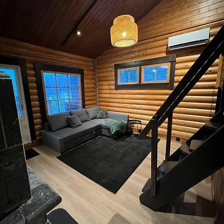 Arvonelioet Lomahimos 17 *